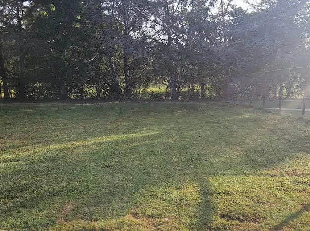 Freshly maintained lawn by Good Sons Outdoor Services in Brenham, TX