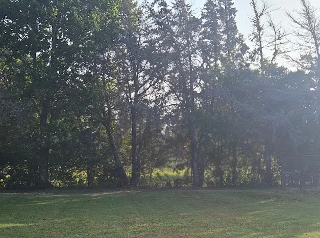 Maintained lawn and tree line at a Brenham-area property
