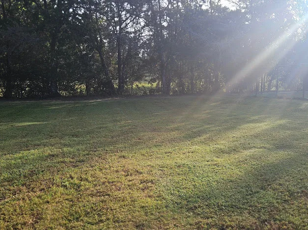 Freshly mowed lawn maintained by Good Sons Outdoor Services in Brenham, Texas